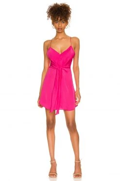 L'Academie Terina Dress In Pink